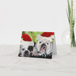 bulk holiday card
