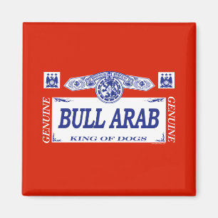 Bull Arab Magnet