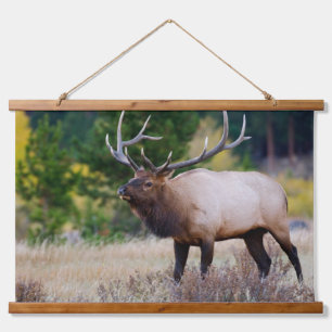 Bull & Aspen Trees Rocky Mountain National Park Hanging Tapestry