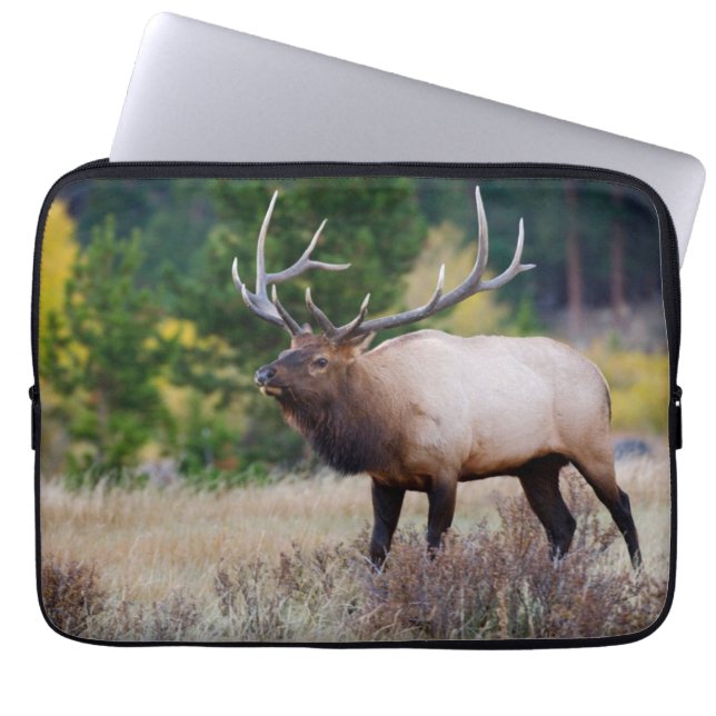 Bull & Aspen Trees | Rocky Mountain National Park Laptop Sleeve (Front)