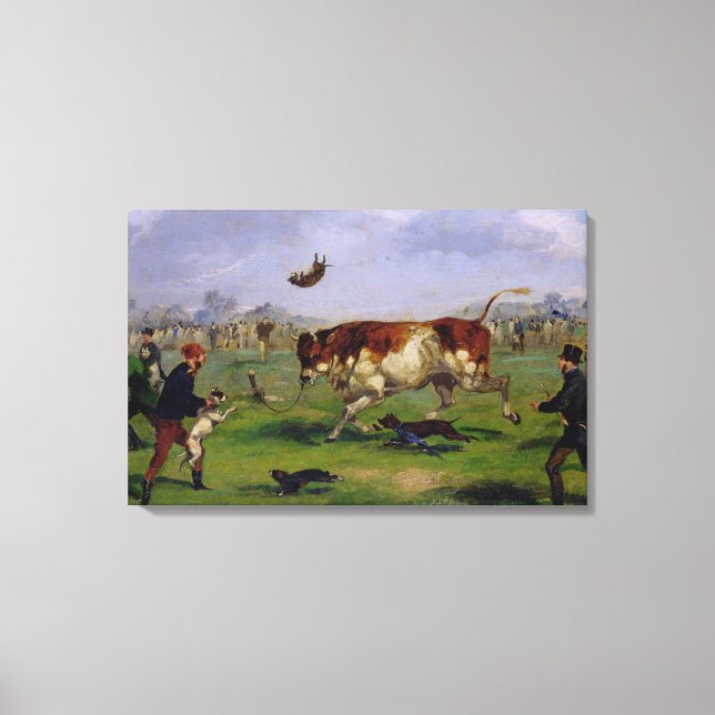 Bull Baiting (oil on paper laid on panel) Canvas Print (Front)