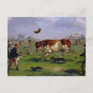 Bull Baiting (oil on paper laid on panel) Postcard