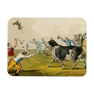 'Bull Baiting', pub. by Thomas McLean, 1820, (prin Magnet