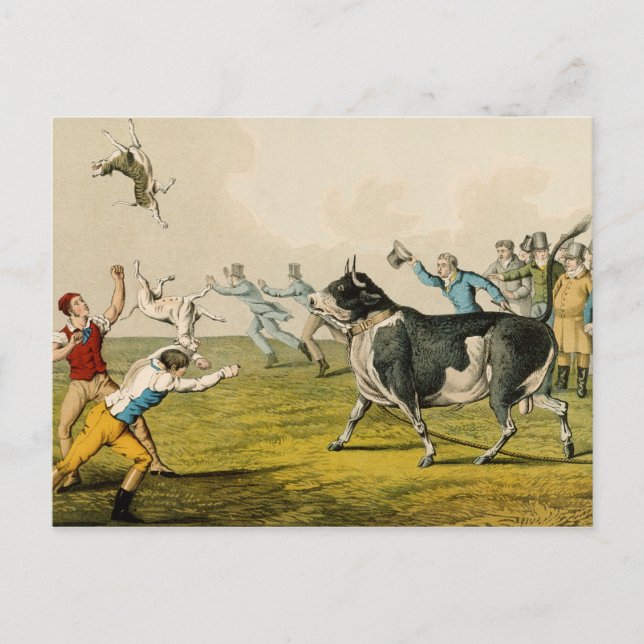 'Bull Baiting', pub. by Thomas McLean, 1820, (prin Postcard (Front)