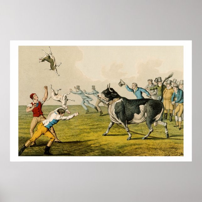 'Bull Baiting', pub. by Thomas McLean, 1820, (prin Poster (Front)
