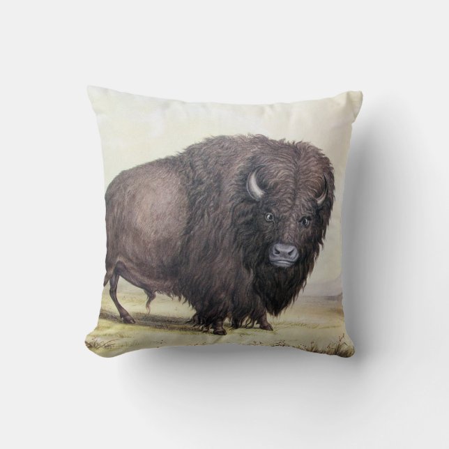 Bull Buffalo Cushion (Front)