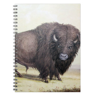 Bull Buffalo Notebook