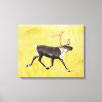 Bull Caribou