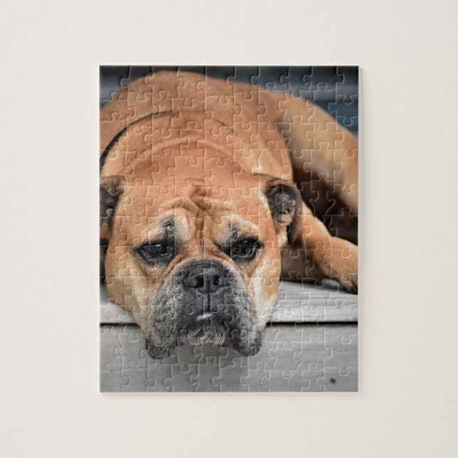 Bull Dog Jigsaw Puzzle (Vertical)