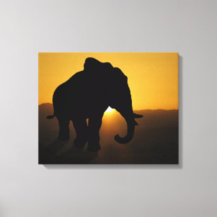 Bull Elephant Canvas Print