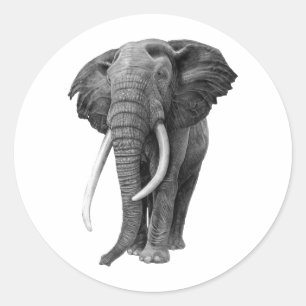 Bull elephant - Drawing in pencil Classic Round Sticker