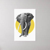 Bull elephant - Drawing in pencil on gold
