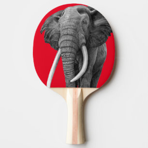 Bull elephant - Drawing in pencil Ping Pong Paddle