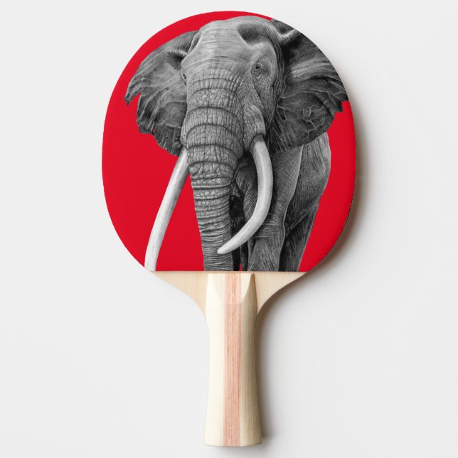 Bull elephant - Drawing in pencil Ping Pong Paddle (Front)