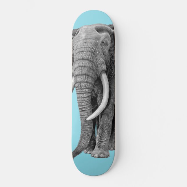 Bull elephant - Drawing in pencil Skateboard (Front)