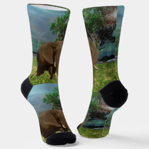 Bull Elephant Grazing, Crew Socks