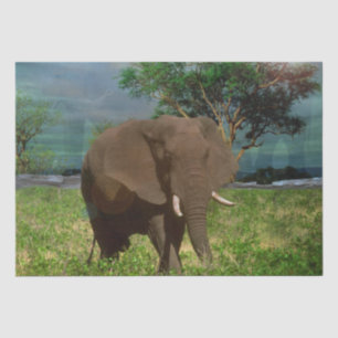 Bull Elephant Grazing, Tissue Paper