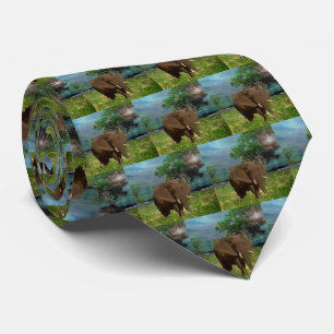 Bull Elephant, Neck Tie
