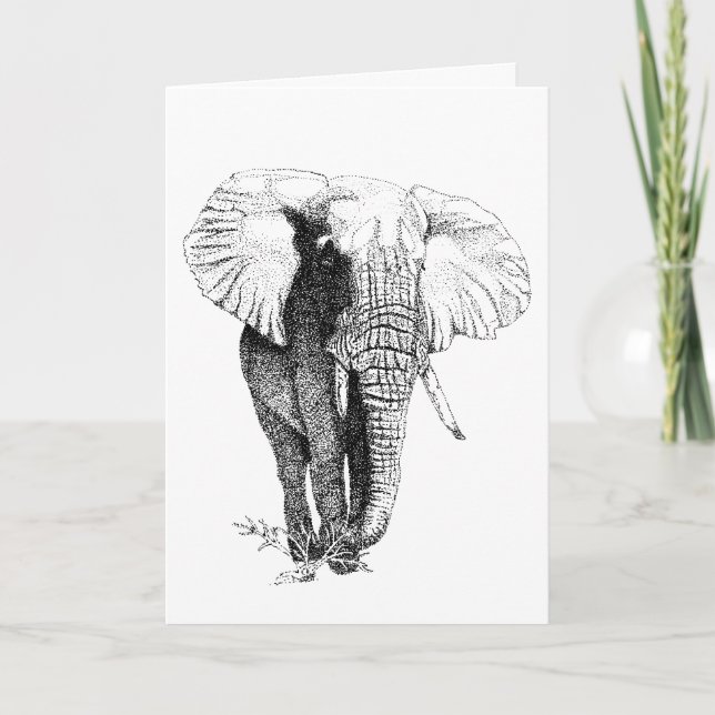 Bull Elephant  study Birthday Card (Front)