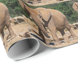 Bull Elephant Wrapping Paper