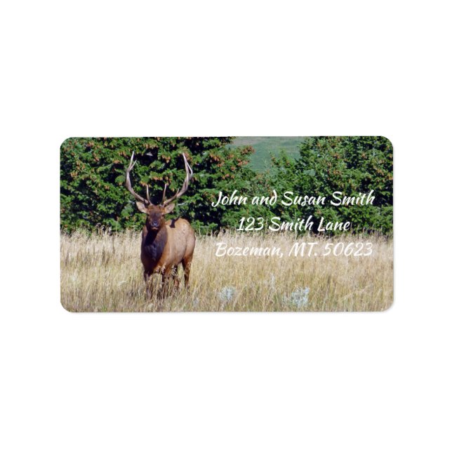 Bull Elk Address Label (Front)