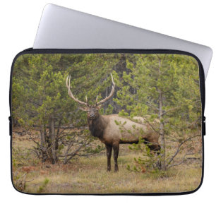 Bull Elk At Yellowstone National Park Laptop Sleeve