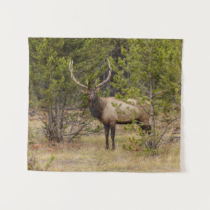 Bull Elk At Yellowstone National Park Tapestry