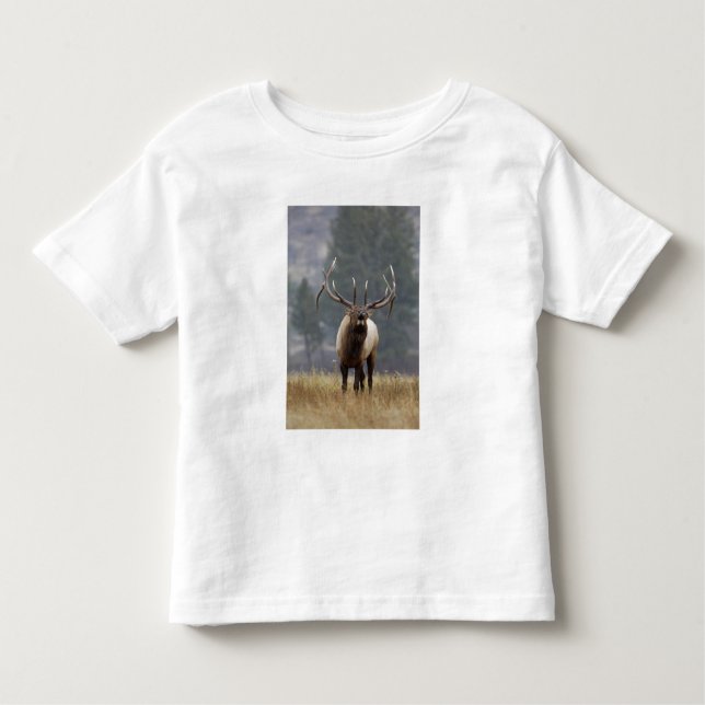 Bull Elk bugling, Yellowstone NP, Wyoming 2 Toddler T-Shirt (Front)