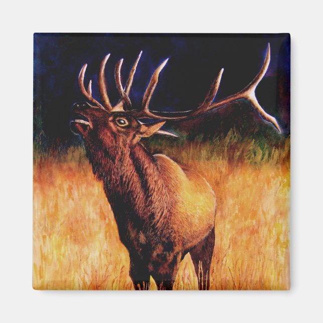 Bull Elk Call Of The Wild, Magnet (Front)