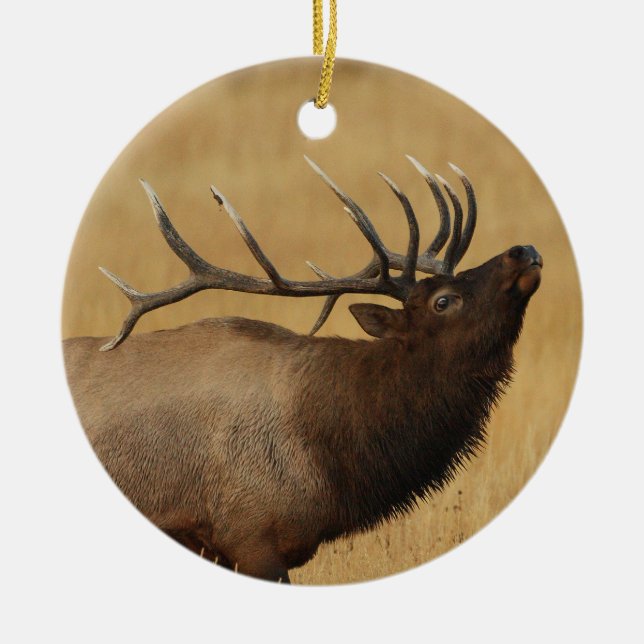 bull elk ceramic tree decoration (Front)