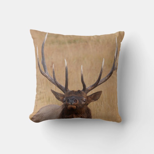 bull elk cushion (Front)