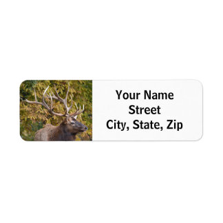 Bull Elk During The Rut Return Address Label