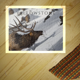 Bull Elk Grazing on Snowy Slope, Yellowstone Jigsaw Puzzle