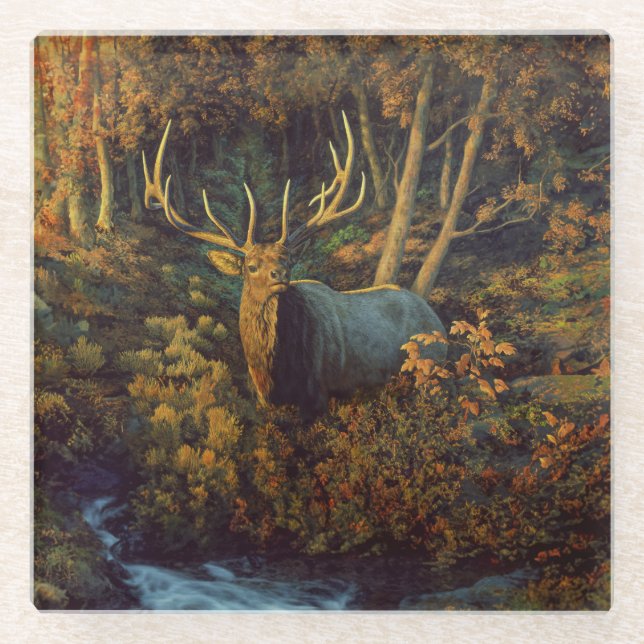 Bull Elk in Autumn Forest Glass Coaster (Front)