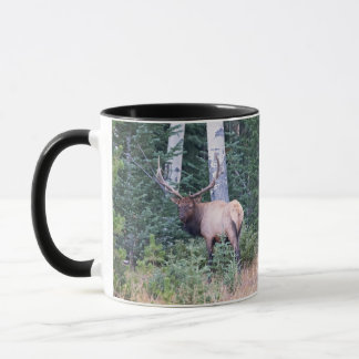 Bull elk in mountains of Colorado Mug