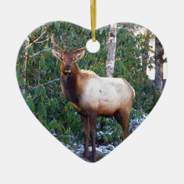 Bull Elk in Rhododendrons Ceramic Tree Decoration (Front)