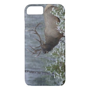 Bull Elk in snow calling, bugling, Yellowstone Case-Mate iPhone Case