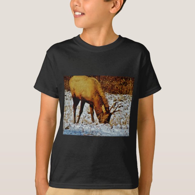 Bull Elk in snow. T-Shirt (Front)