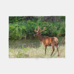 Bull Elk in the National Bison Range, Montana Fleece Blanket