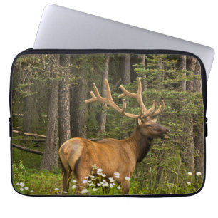 Bull Elk in Velvet, Canada Laptop Sleeve