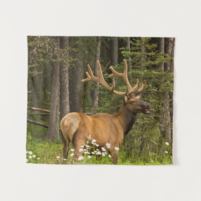 Bull Elk in Velvet, Canada Tapestry (Front (Horizontal))