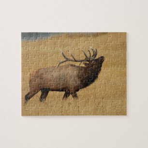 bull elk jigsaw puzzle