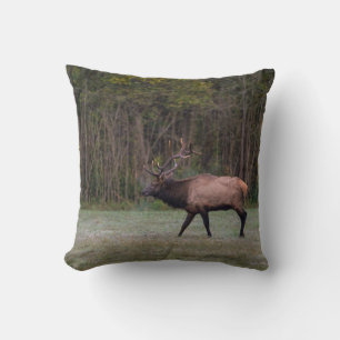 Bull Elk Morning Walk Cushion