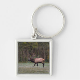 Bull Elk Morning Walk Key Ring