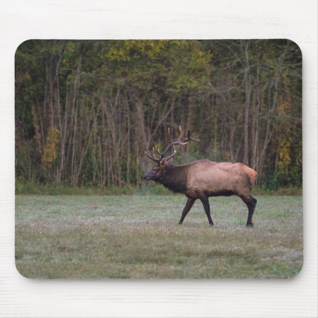 Bull Elk Morning Walk Mouse Pad (Front)