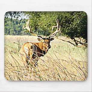 Bull Elk Mouse Pad
