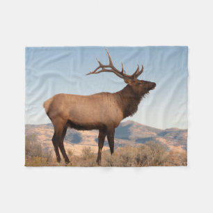 Bull Elk Near Mammoth Wyoming Fleece Blanket