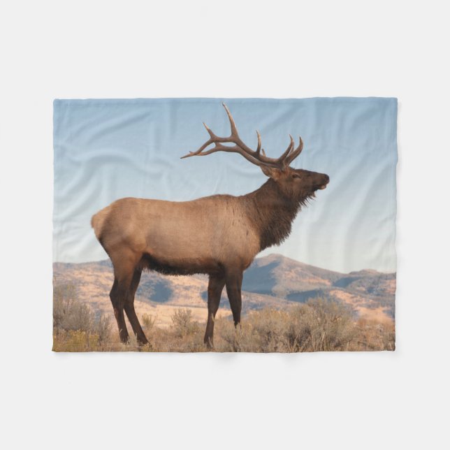 Bull Elk Near Mammoth | Wyoming Fleece Blanket (Front (Horizontal))