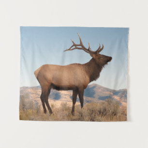 Bull Elk Near Mammoth Wyoming Tapestry