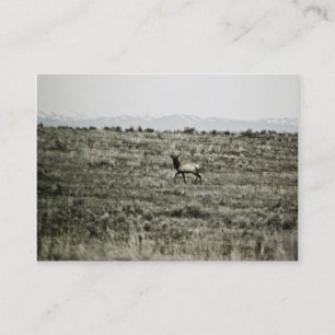 Bull Elk P2800 Mini Print Business Card